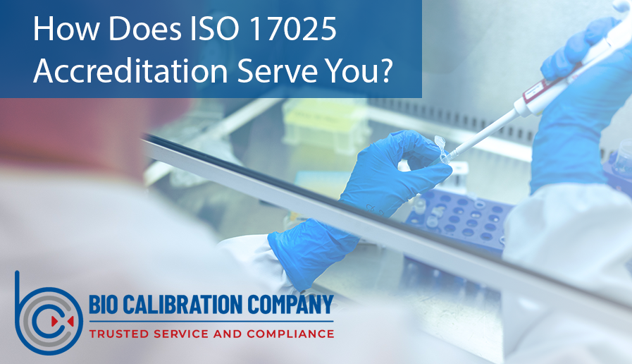 Blog Bio Calibration Company, Inc