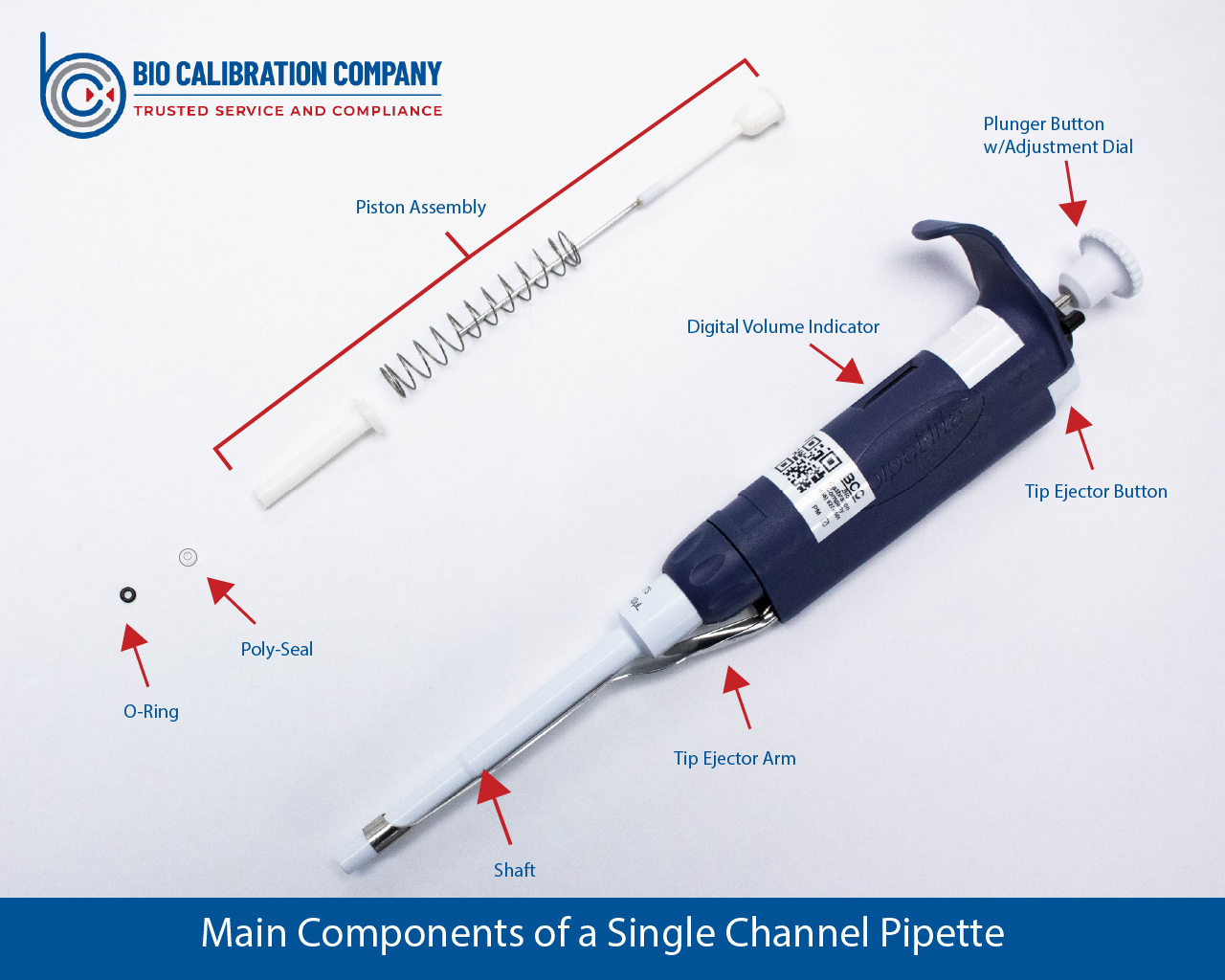 Main Components of a Single Channel Pipette