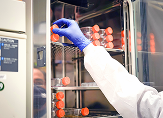 CO₂ (Cell Culture) Incubator Calibration Services
